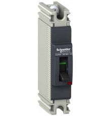 1П АТВОМАТИЧЕСКИЙ ВЫКЛЮЧАТЕЛЬ EZC100 25KA/240В 100 A