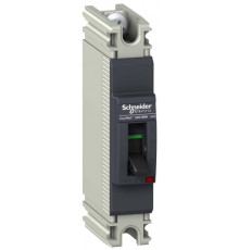 1П АТВОМАТИЧЕСКИЙ ВЫКЛЮЧАТЕЛЬ EZC100 18KA/240В 60 A